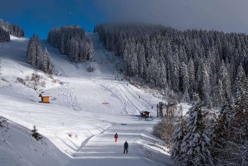 Saint-Jean-dʼAulps Le Relai S34 - Grand Et Lumineux Studio Avec Coin Montagne 4-6 Pers Avec Wifi, 50M Des Pistes, Grand Balcon Expose Sud, Draps Non Compris מראה חיצוני תמונה